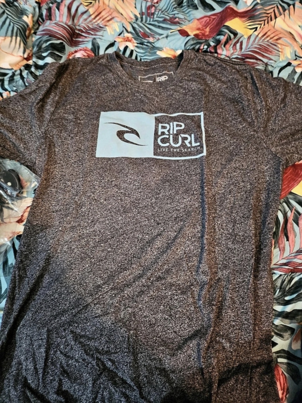 Rip Curl Live the Search Box Logo Tee Short Sleeve Tee in Brown & Blue Size